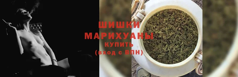 Конопля OG Kush  Ковдор 